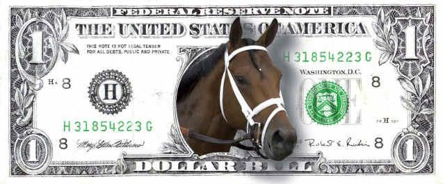 horse betting software