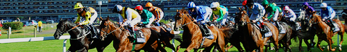 Racebook Online
