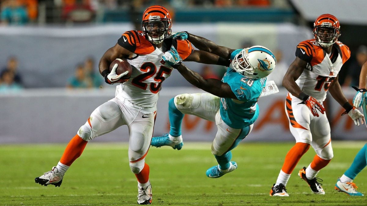 Bengals vs Dolphins 2016