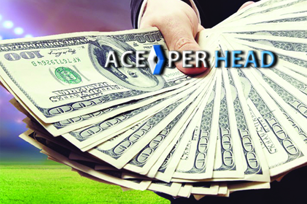 How to Become a Bookie Agent?, PPH Software for Bookmakers (AcePerHead)