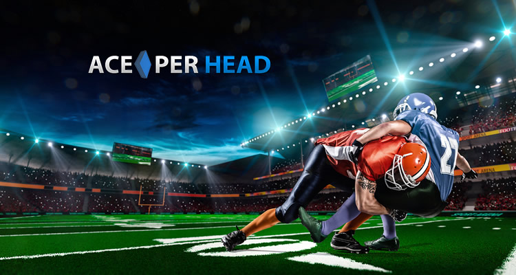 Pay Per Head Live Betting