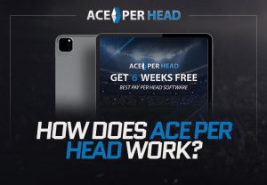 How Does ACE Per Head Work?