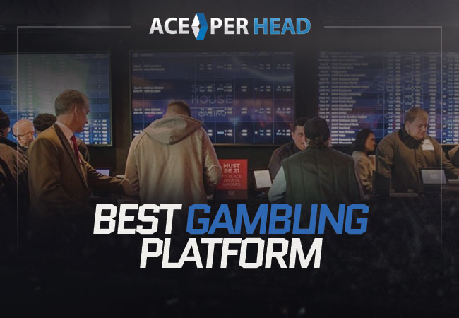 Best Gambling Platform