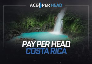 Pay Per Head Costa Rica