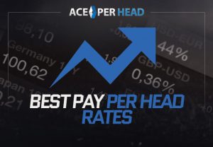 Best Pay Per Head Rates