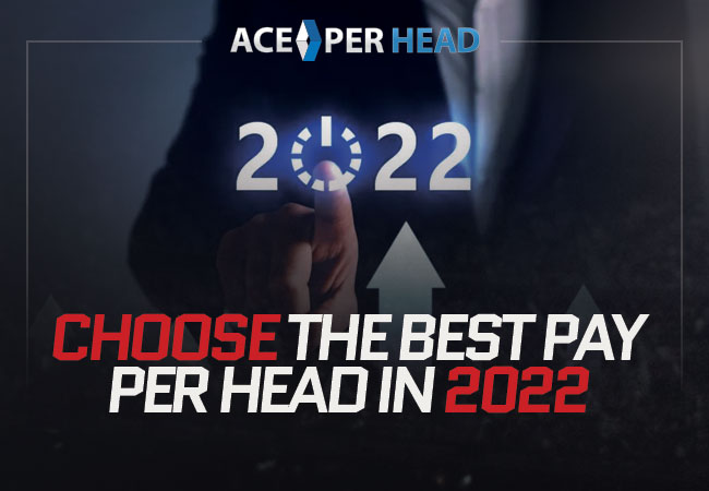 Choose the Best Pay Per Head in 2022