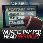 What Is Pay Per Head Service?