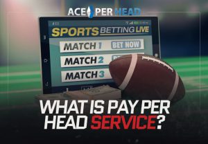 What Is Pay Per Head Service?