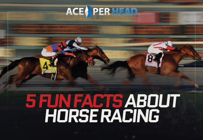 5 Fun Facts About Horse Racing