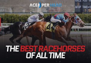 Best Racehorses of All Time