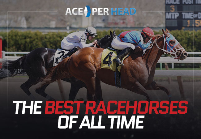 Best Racehorses of All Time