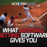 What Baseball Betting Software Gives You