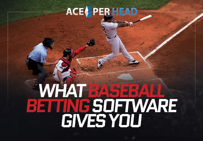What Baseball Betting Software Gives You